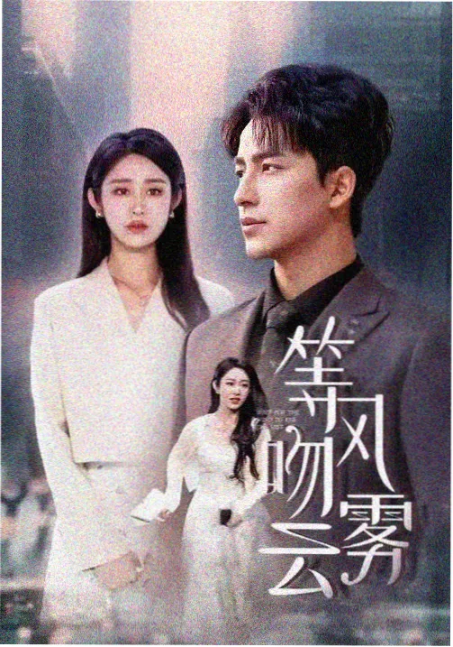 犯罪题材电视剧海报